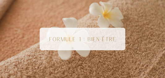 Formule 1 : Bien-Être