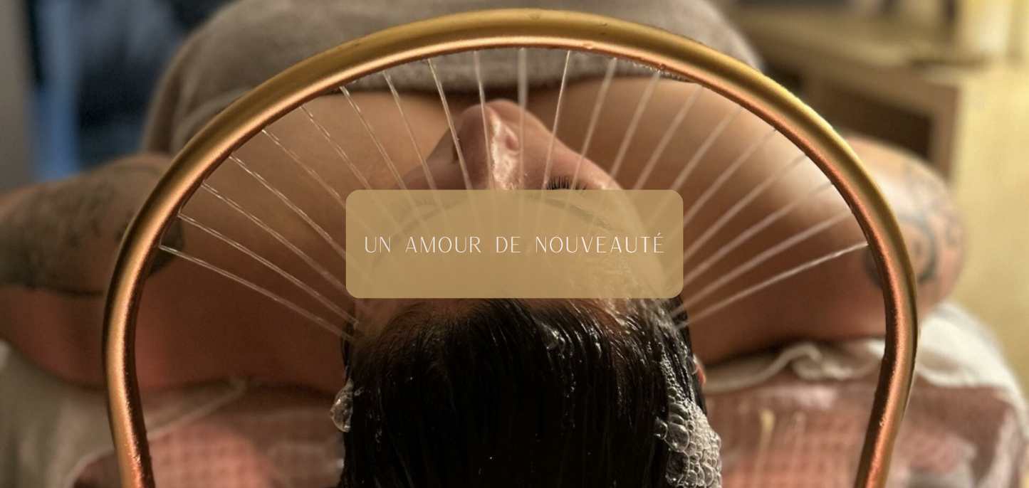 Un amour de nouveauté